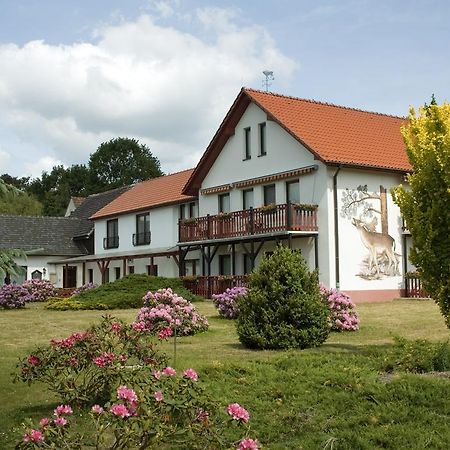 Hotel Zur Wildtranke Spremberg Zewnętrze zdjęcie